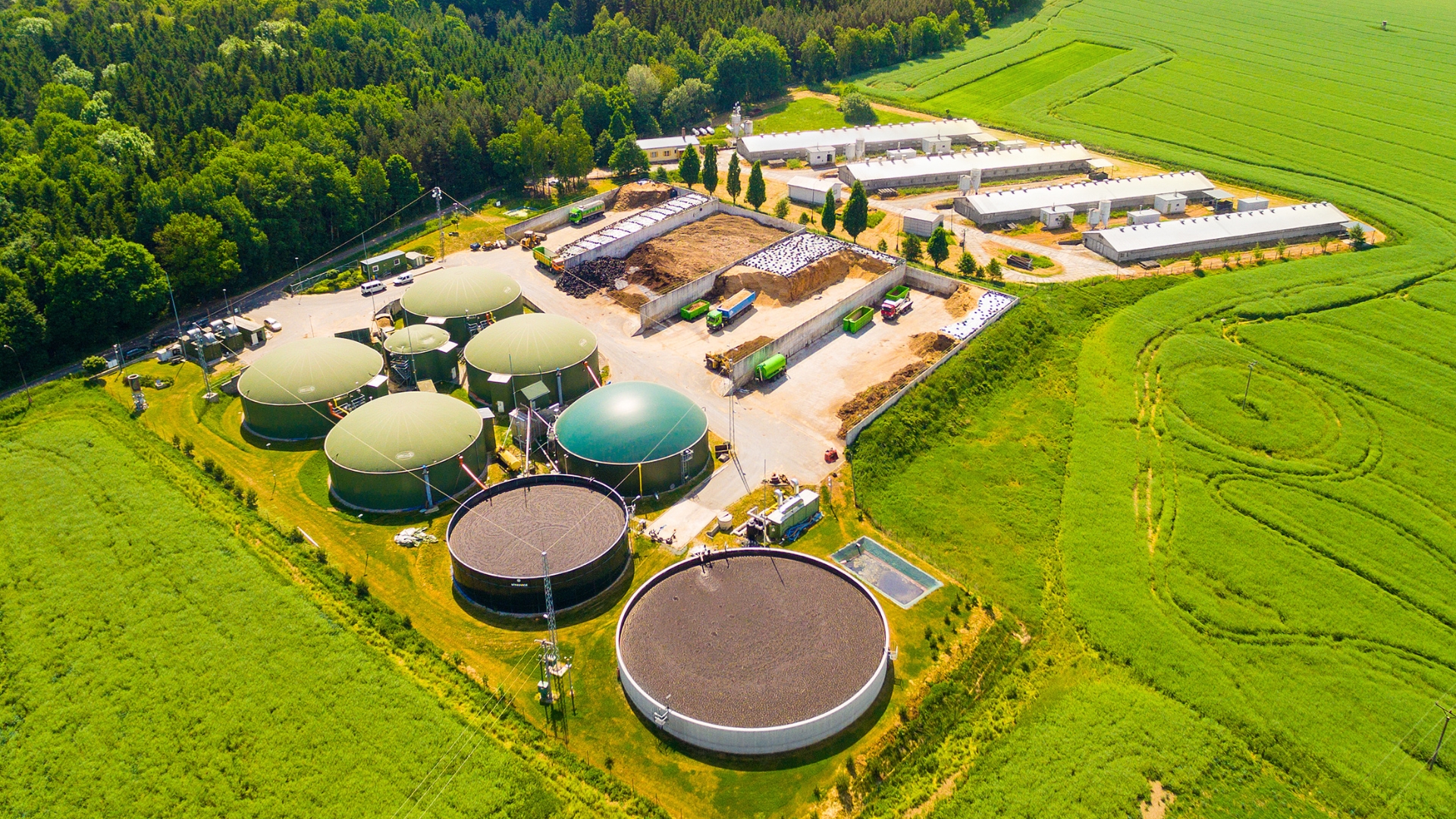 Impianti di biogas - settore biogas - Sostenibilità Ecopool service