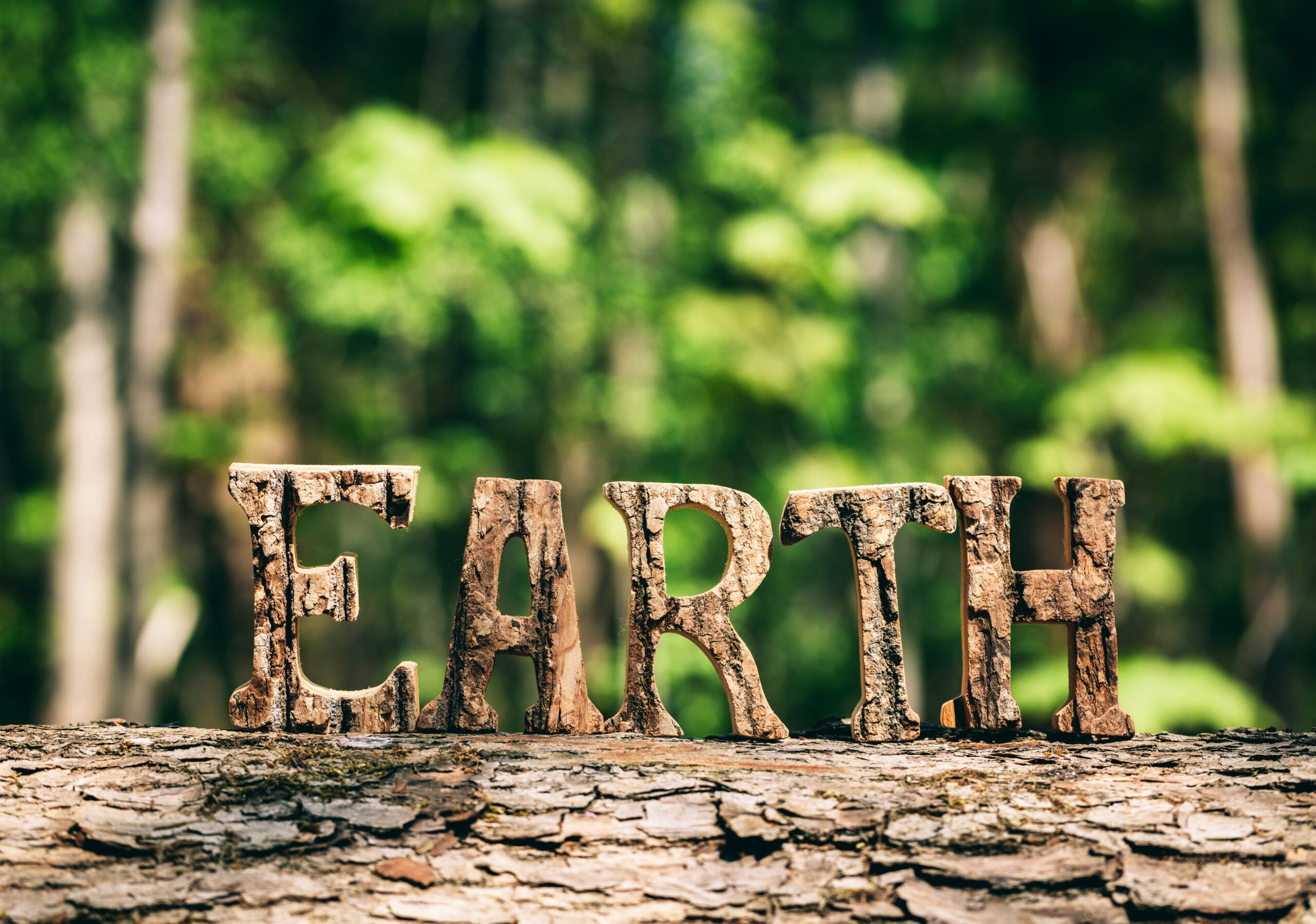 Scritta EARTH fatta con il legno - Etica e valori dell'azienda Ecopool Service