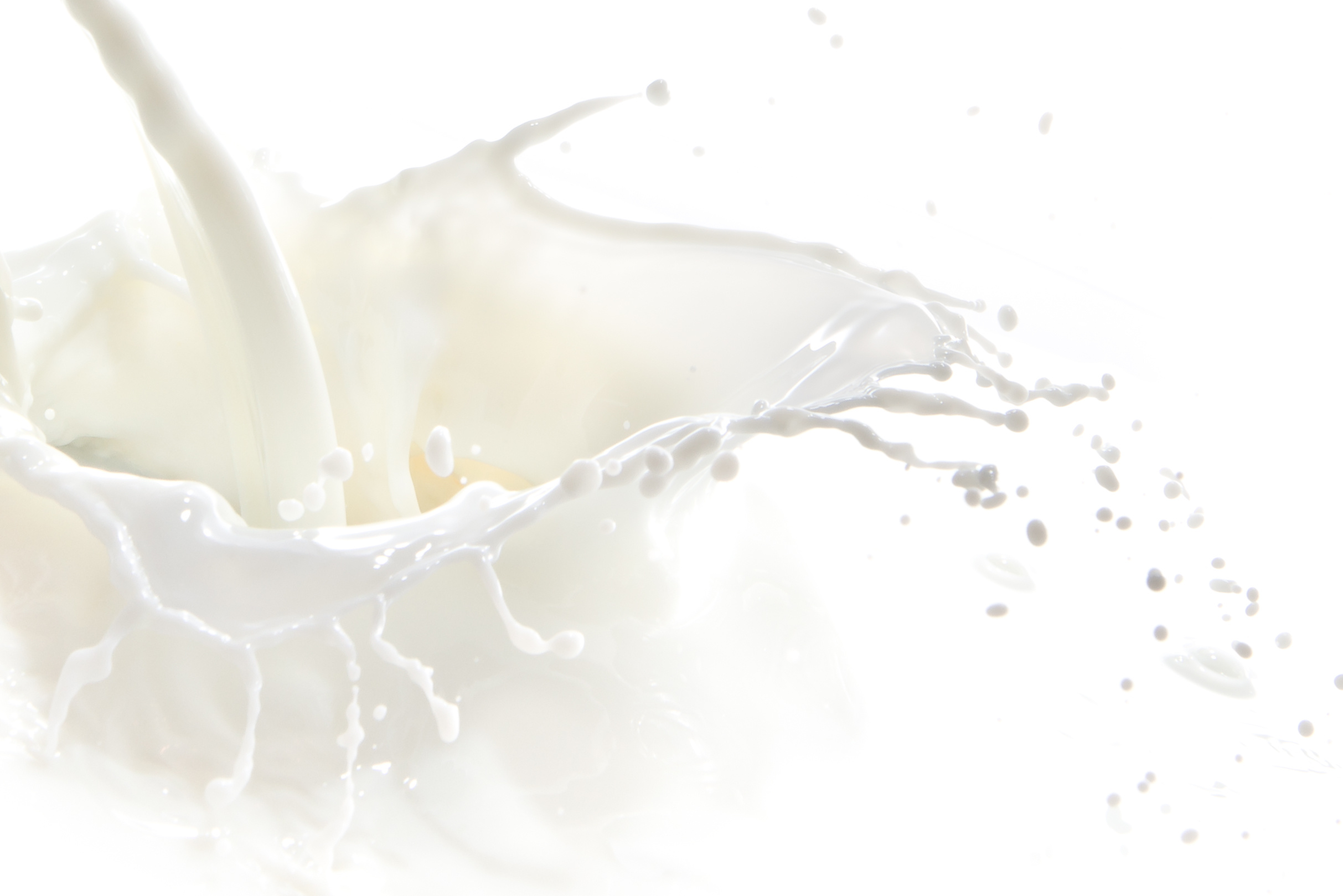 Schizzo di latte - Sottoprodotti liquidi Ecopool Service