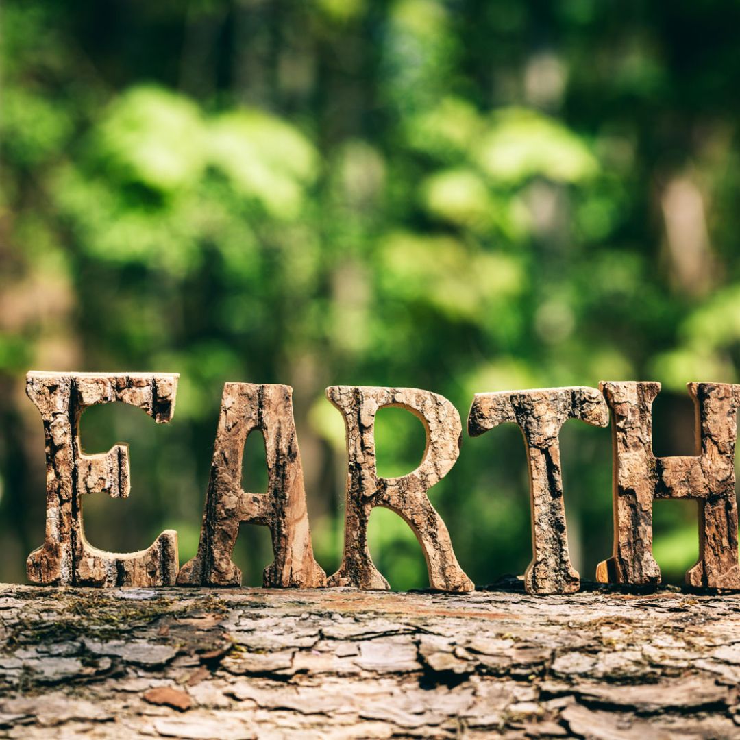 Scritta "earth" in legno sopra un tronco d'albero